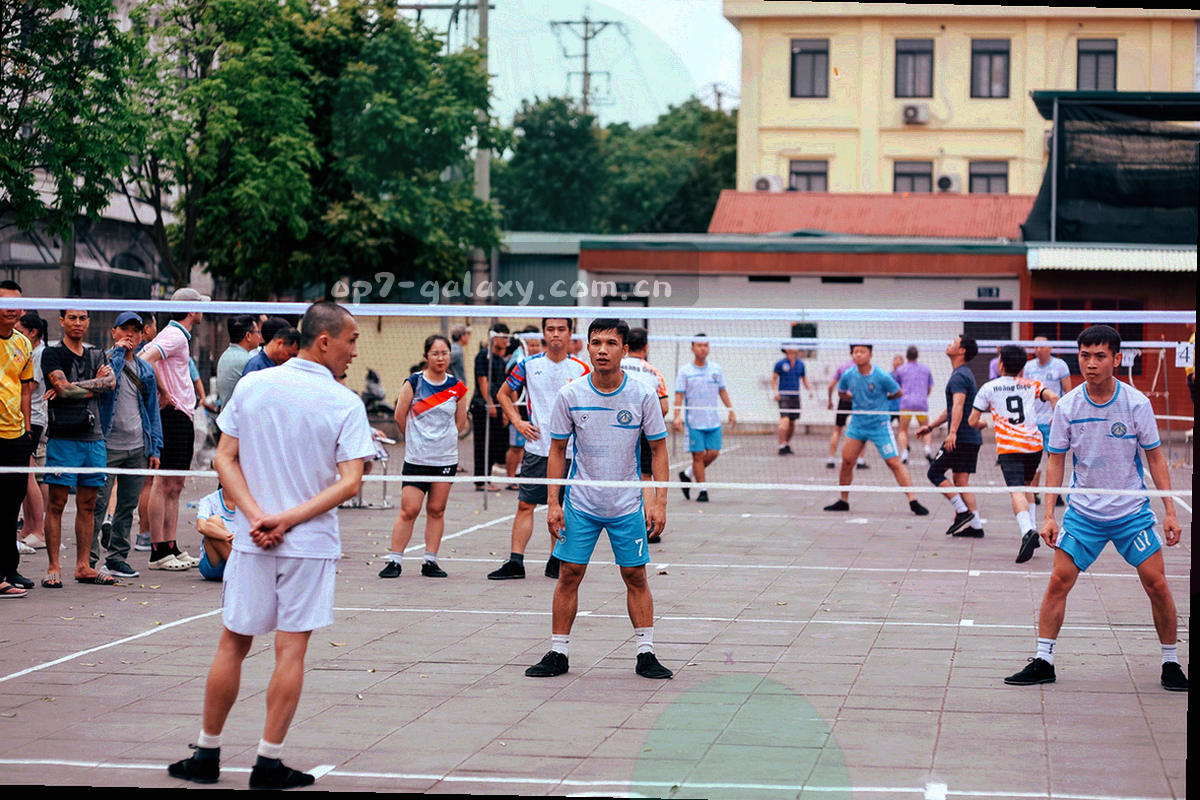 授权编号与核发时间在表格中高亮显示的抽象特写